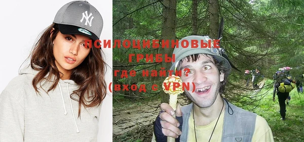 спайс Козловка