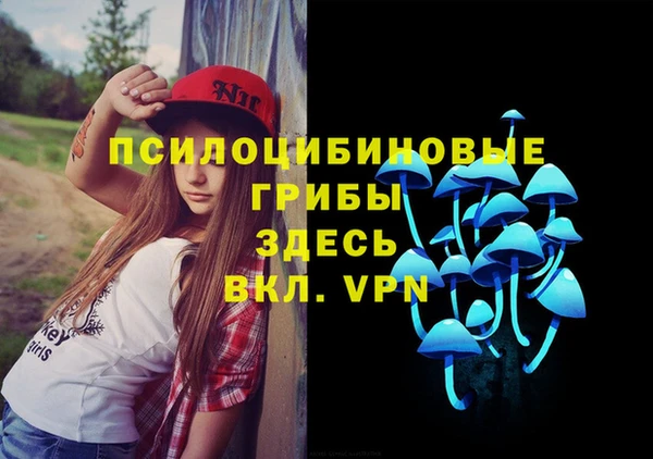 спайс Козловка