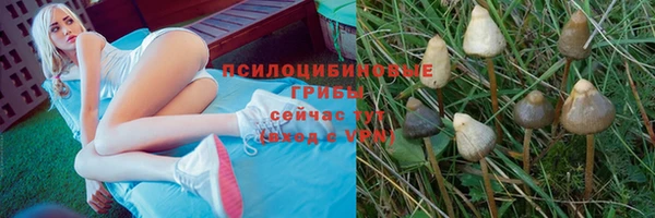 герыч Кинешма
